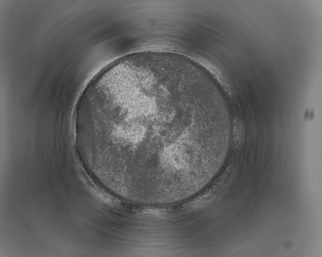 X0000094441078200712061132