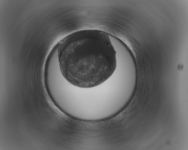 X0000094441080200712061132