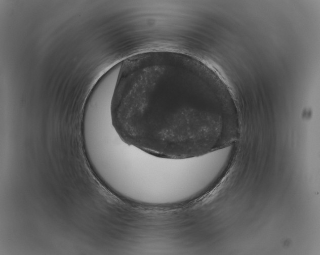 X0000094441081200712061132