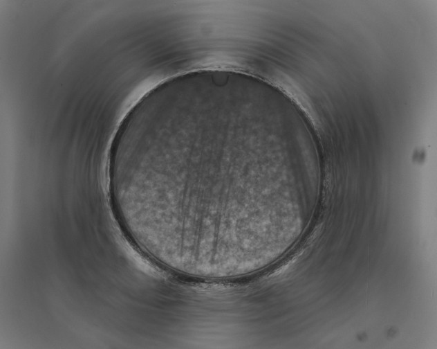 X0000094441082200712061132