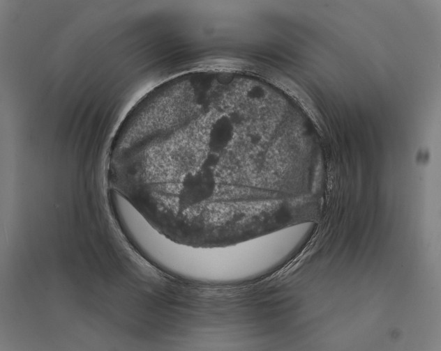 X0000094441083200712061132