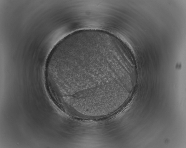 X0000094441085200712061132