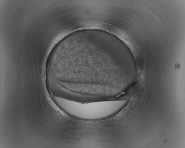 X0000094441088200712061132