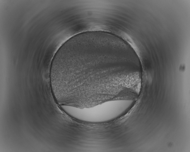 X0000094441089200712061132