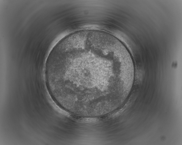 X0000094441090200712061132