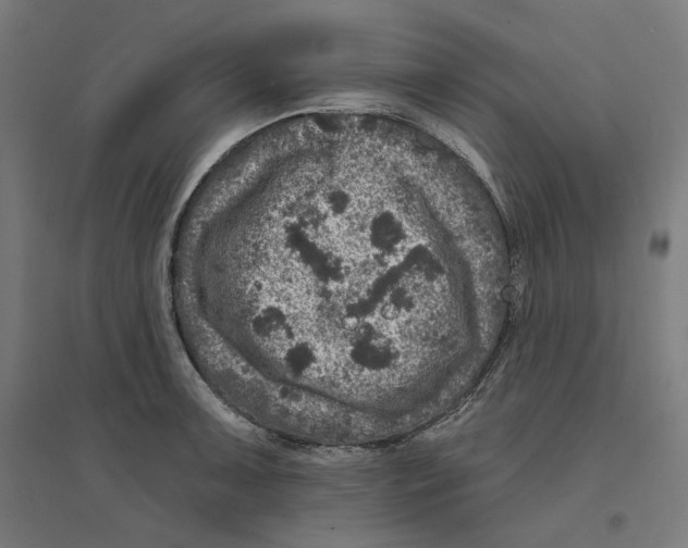 X0000094441091200712061132