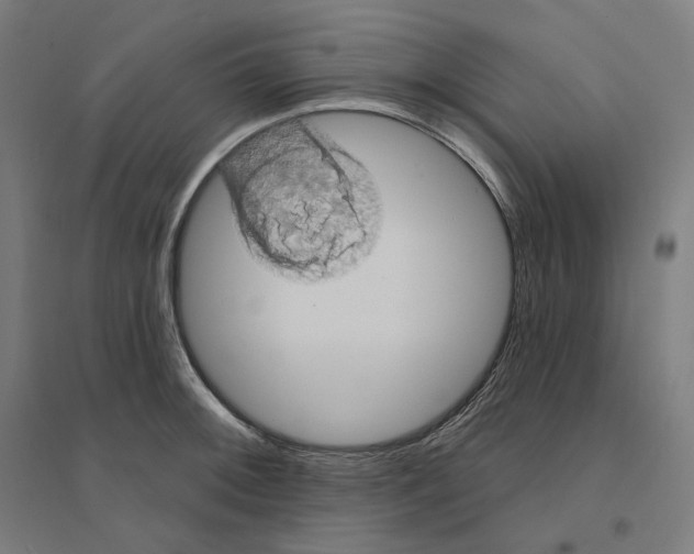 X0000094441092200712061132