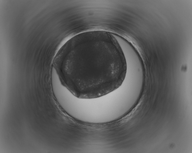 X0000094441097200712061132