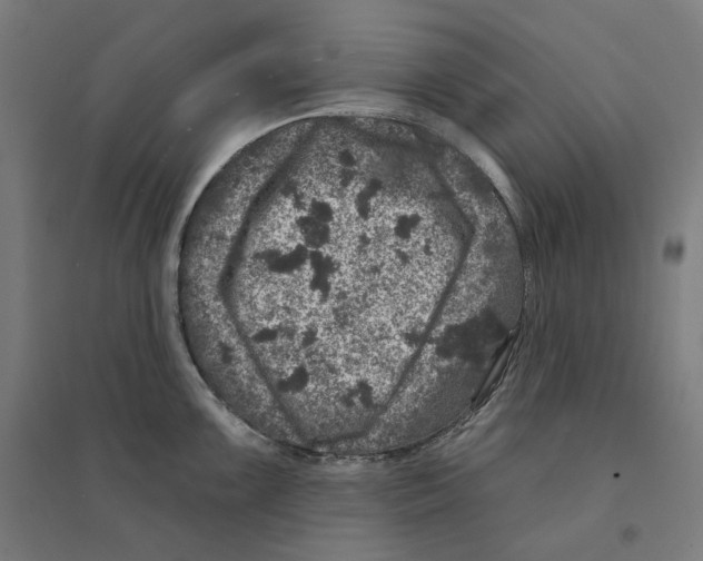 X0000094441099200712061132