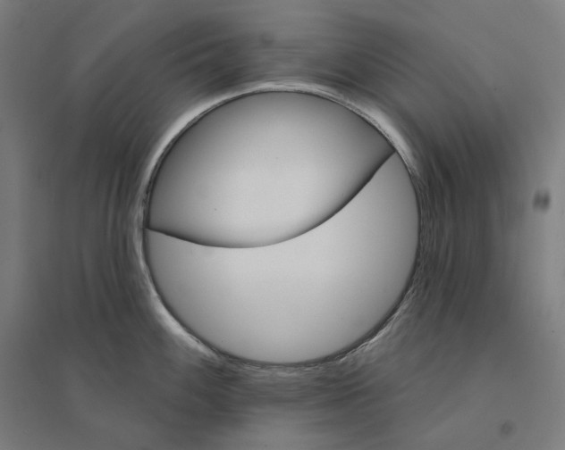 X0000094441100200712061132