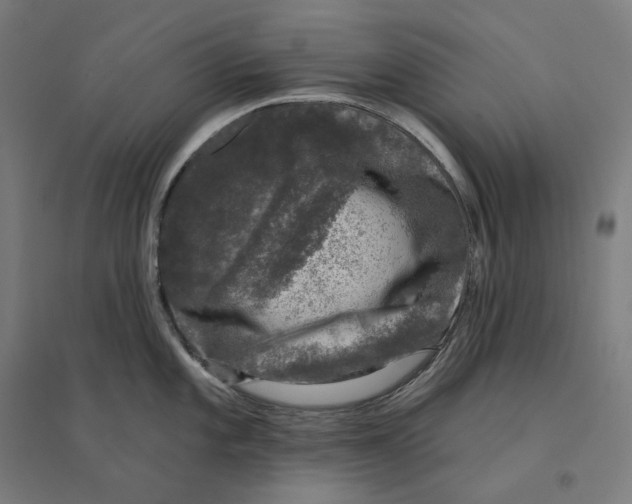 X0000094441101200712061132