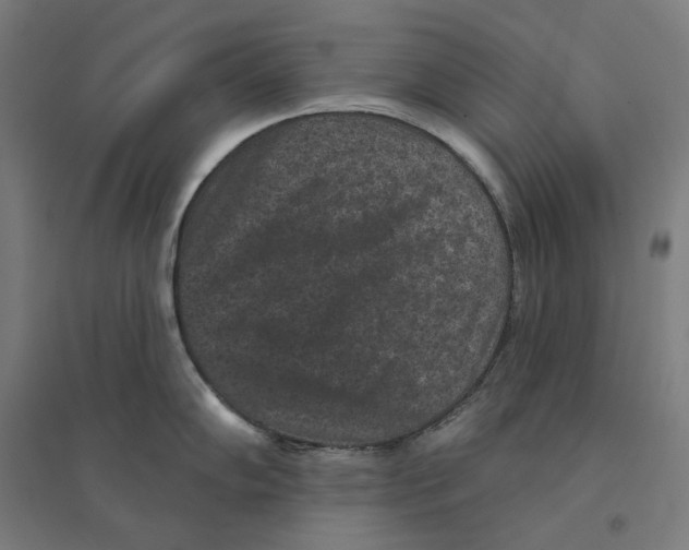 X0000094441102200712061132