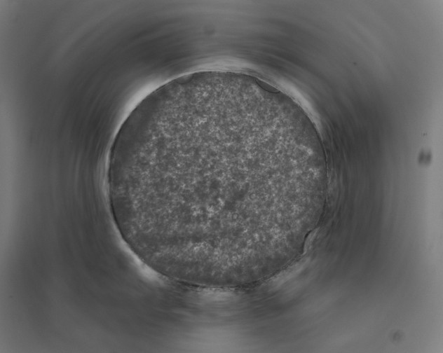 X0000094441103200712061132