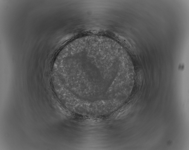 X0000094441105200712061131