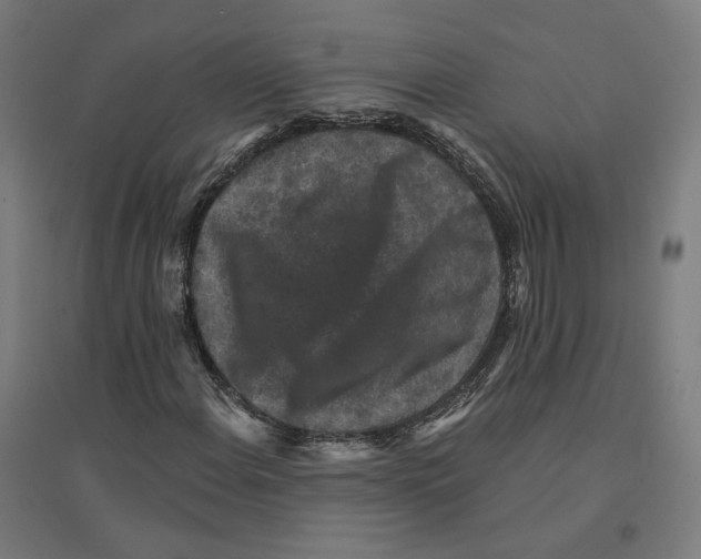 X0000094441108200712061131