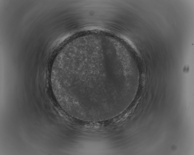 X0000094441111200712061131