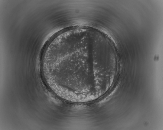 X0000094441117200712061131