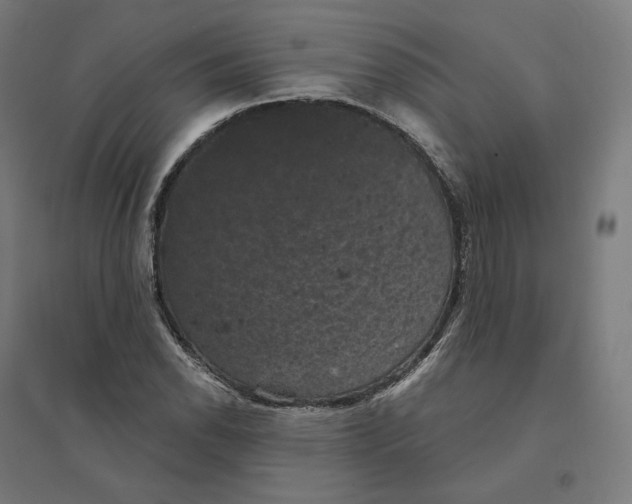 X0000094441118200712061131