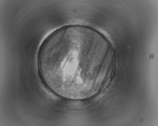 X0000094441120200712061131