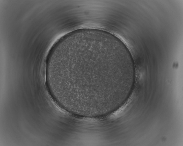 X0000094441123200712061131