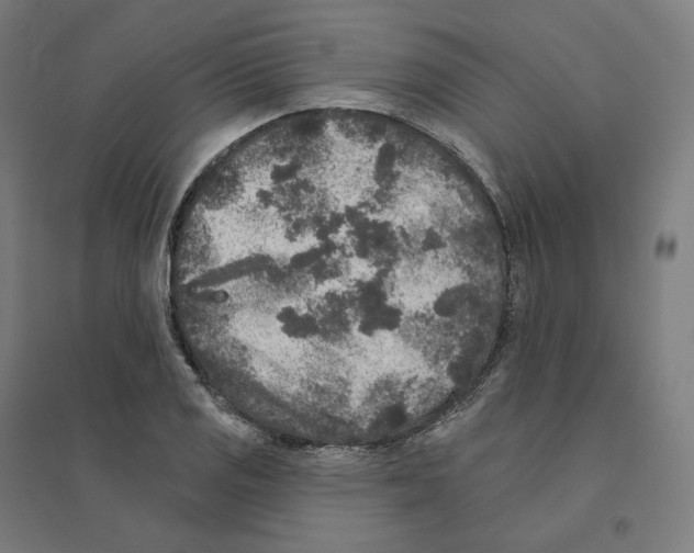 X0000094441125200712061131