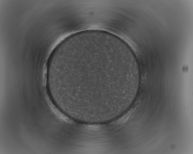 X0000094441126200712061131