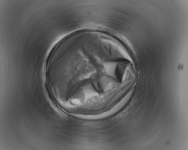 X0000094441128200712061131