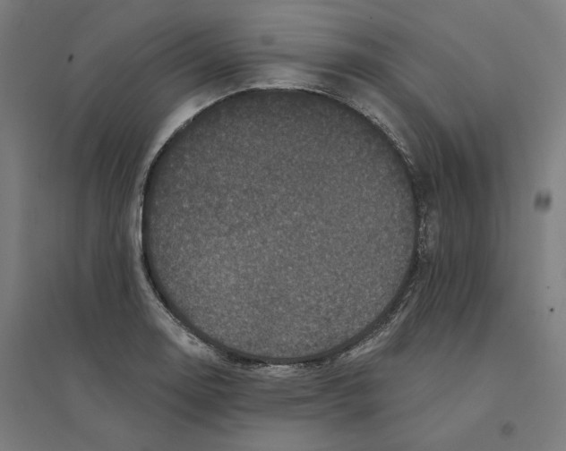 X0000094441130200712061131