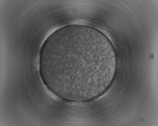 X0000094441131200712061131