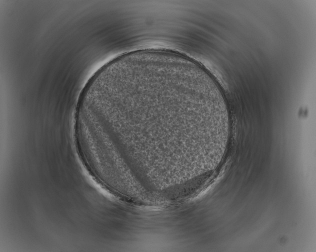 X0000094441134200712061131