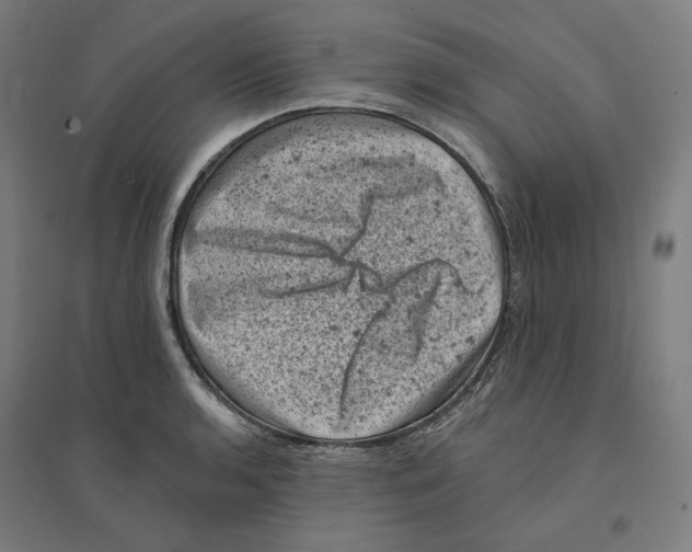 X0000094441136200712061131