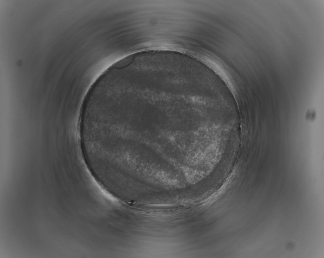 X0000094441141200712061131