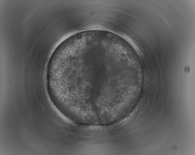 X0000094441142200712061131