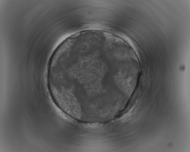 X0000094441147200712061131