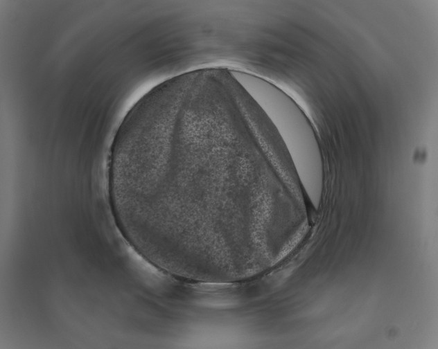 X0000094441151200712061131