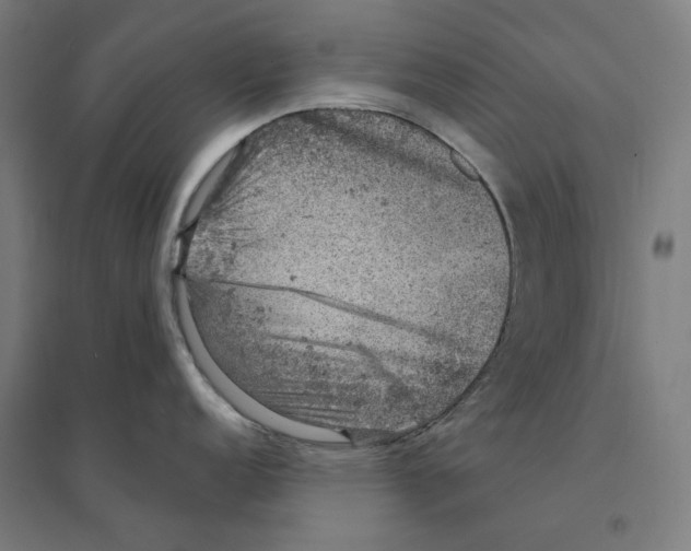 X0000094441152200712061131