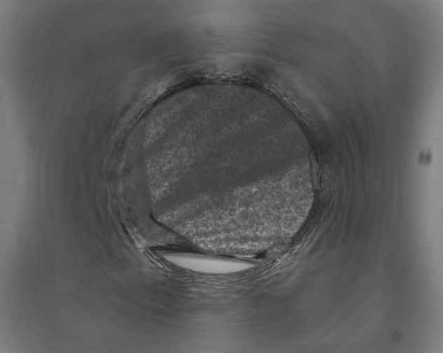 X0000094441153200712061131