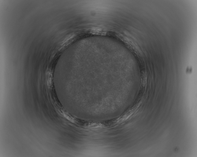 X0000094441154200712061131