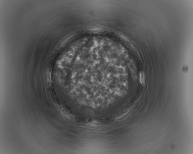 X0000094441155200712061131