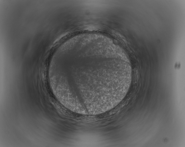 X0000094441158200712061131