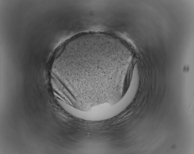 X0000094441160200712061131