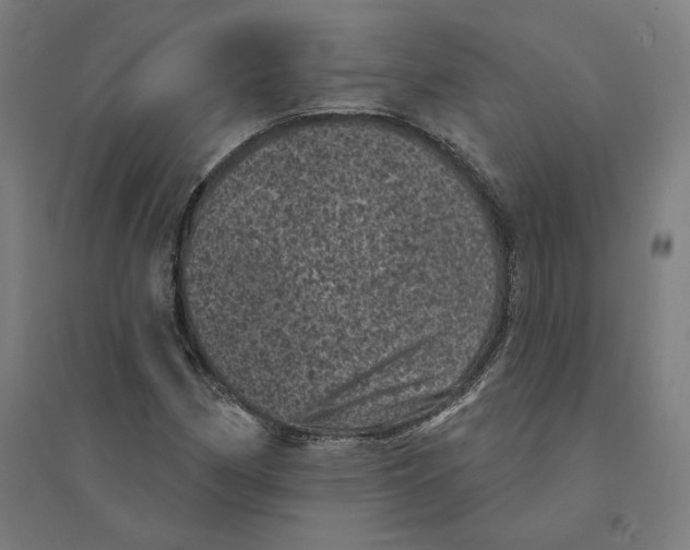 X0000094441162200712061131