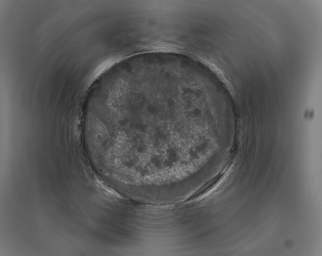 X0000094441163200712061131