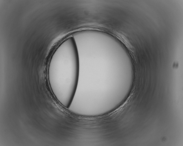 X0000094441164200712061131