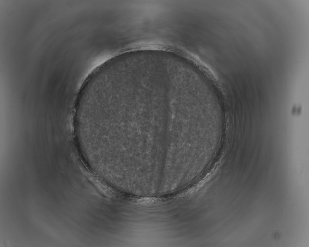 X0000094441166200712061130