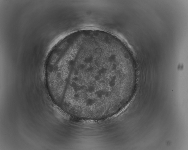 X0000094441167200712061130