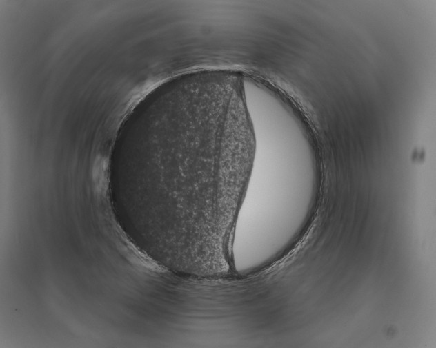 X0000094441169200712061130