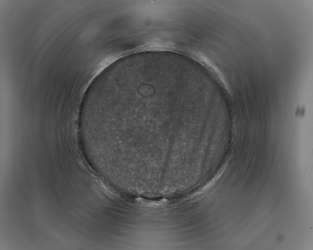 X0000094441170200712061130