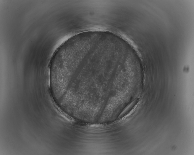 X0000094441171200712061130