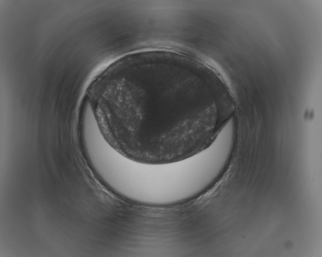 X0000094441172200712061130